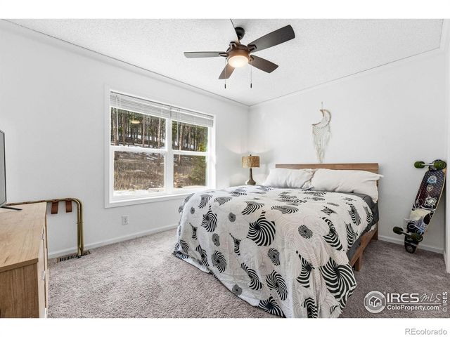 255 Divide View Drive, Golden, CO 80403