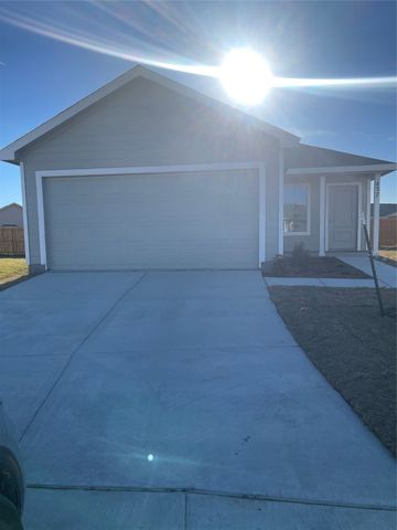 427 Bower Drive, Princeton, TX 75407