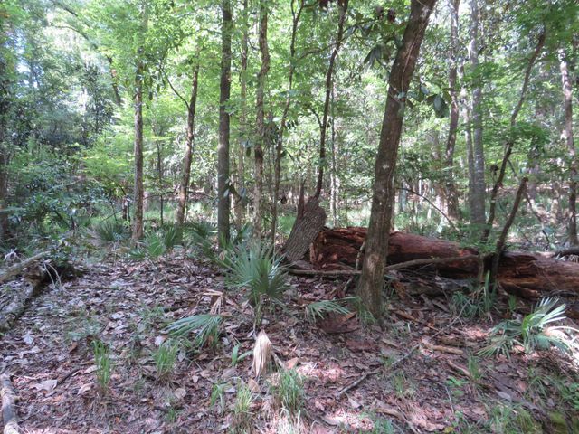 XXX Tallavana Trail, Havana, FL 32333