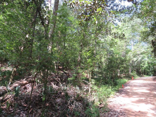 XXX Tallavana Trail, Havana, FL 32333