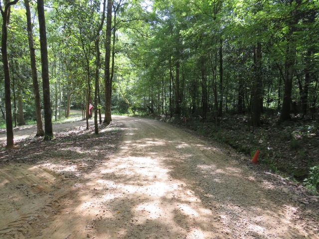 XXX Tallavana Trail, Havana, FL 32333