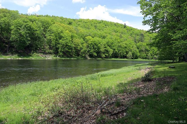 860 River Road, Callicoon, NY 12723