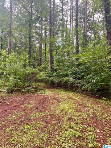 121 COUNTY ROAD 338, Chelsea, AL 35043
