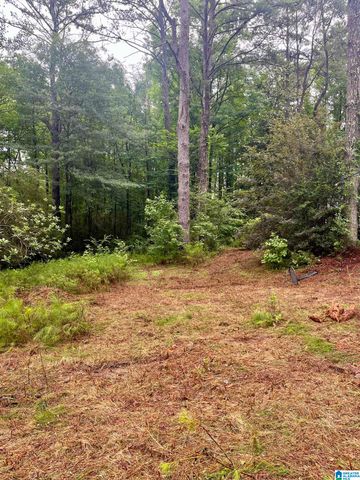 121 COUNTY ROAD 338, Chelsea, AL 35043