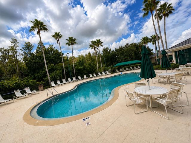 10157 HEATHER SOUND DRIVE, Tampa, FL 33647