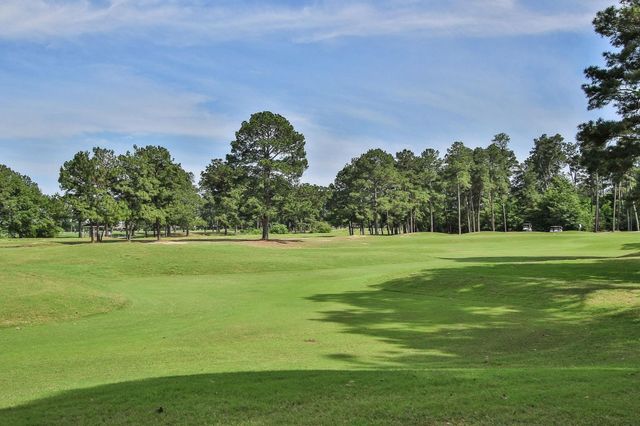 6114 Windrose Hollow Lane, Spring, TX 77379