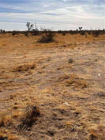 12729 Rochester, Phelan, CA 92371