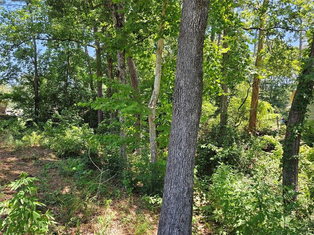 10761 Royal Terrell Drive, Conroe, TX 77303