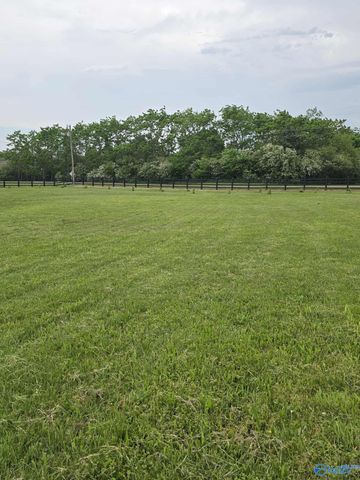 17929 Wales Drive, Harvest, AL 35749