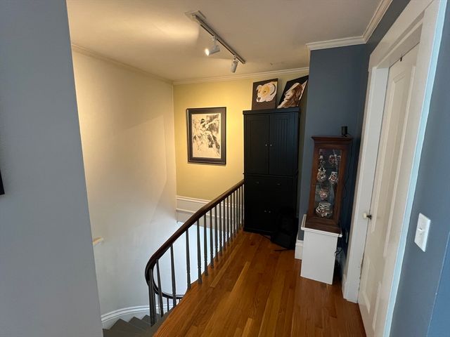 15 Orchard Street 15, Newton, MA 02458