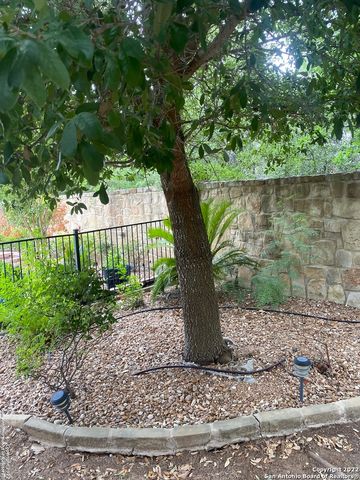 12815 SAND HOLLY, San Antonio, TX 78253