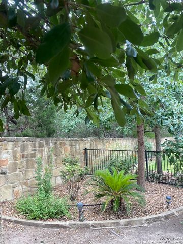 12815 SAND HOLLY, San Antonio, TX 78253