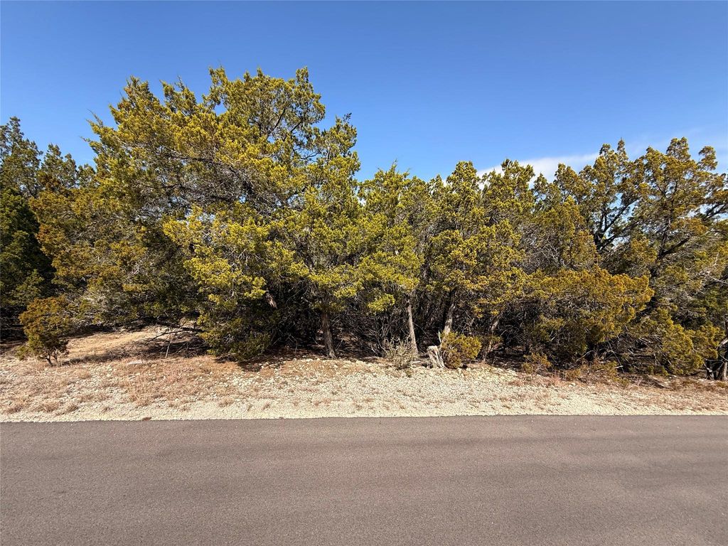 20206 Lee LN, Lago Vista, TX 78645