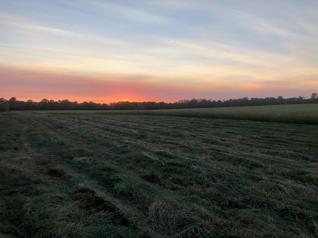 TRACT C E SUGAR GROVE RD, Columbia, MO 65201