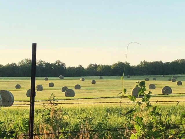 TRACT C E SUGAR GROVE RD, Columbia, MO 65201