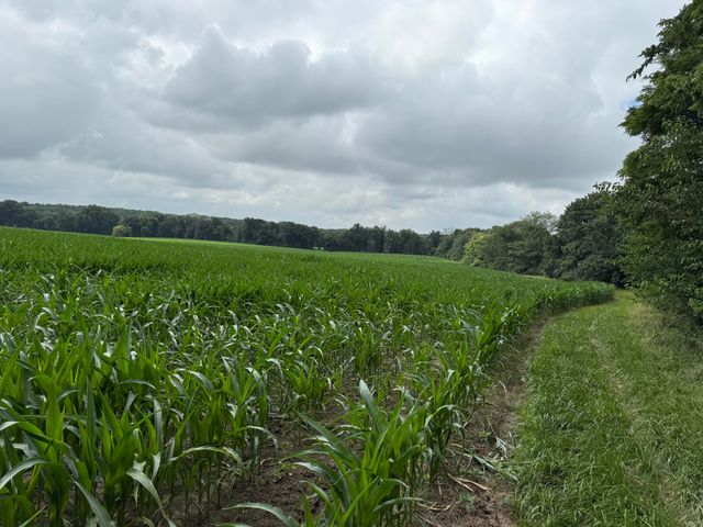 TRACT C E SUGAR GROVE RD, Columbia, MO 65201