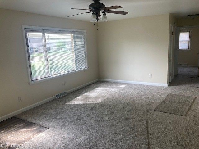 310 N Mecca Street, Cortland, OH 44410
