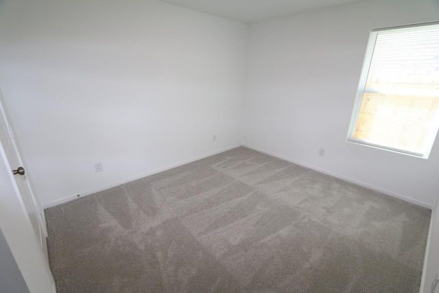 6245 Alder Creek Drive, Montgomery, TX 77316