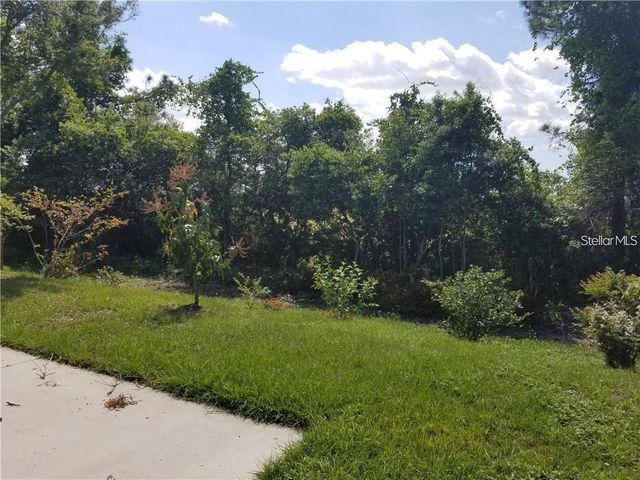 5220 SILVER THISTLE LANE, St Cloud, FL 34772