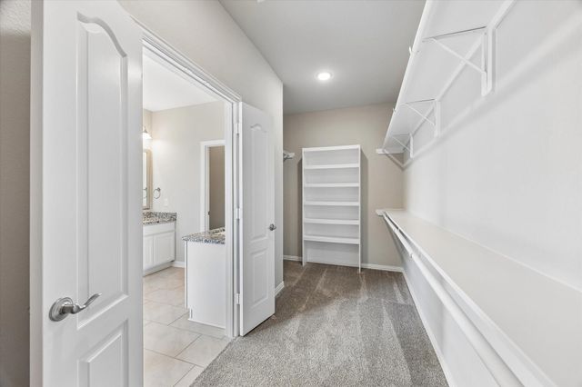 317 Merlot Drive, Alvin, TX 77511