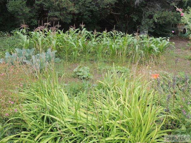 595 Bechler Drive, St Anthony, ID 83445