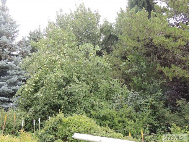 595 Bechler Drive, St Anthony, ID 83445