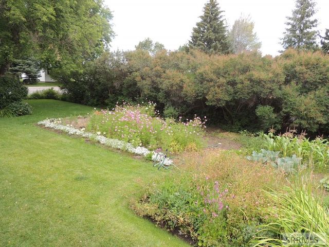 595 Bechler Drive, St Anthony, ID 83445