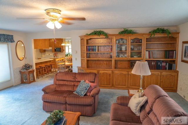 595 Bechler Drive, St Anthony, ID 83445