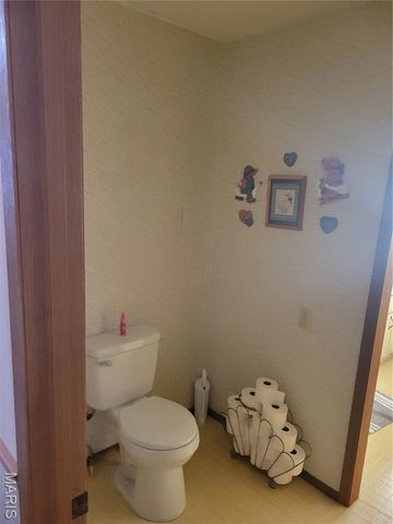 319 County Road 708A, Ellington, MO 63638