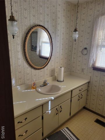 319 County Road 708A, Ellington, MO 63638