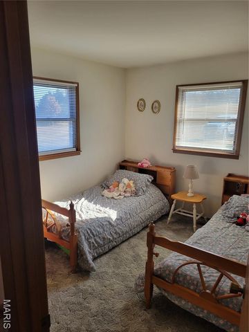 319 County Road 708A, Ellington, MO 63638