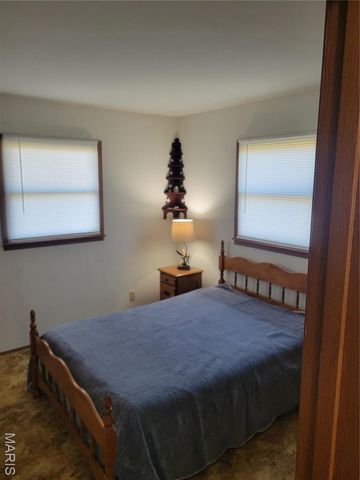 319 County Road 708A, Ellington, MO 63638