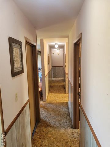 319 County Road 708A, Ellington, MO 63638