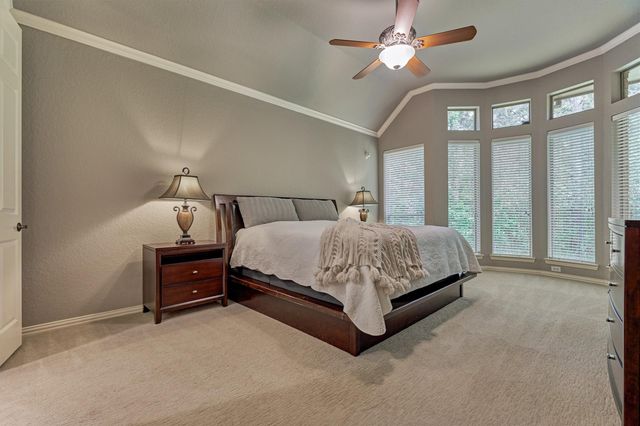 14 Mystic Pines Court, The Woodlands, TX 77382