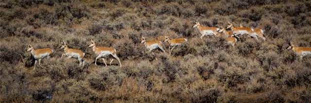 830 Castle Mountain Road, Clyde Park, MT 59018