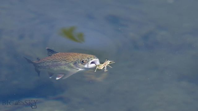 830 Castle Mountain Road, Clyde Park, MT 59018