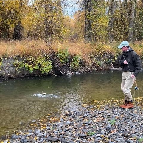 830 Castle Mountain Road, Clyde Park, MT 59018