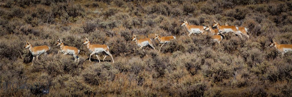 830 Castle Mountain Road, Clyde Park, MT 59018 photo 10