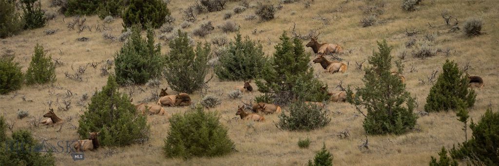 830 Castle Mountain Road, Clyde Park, MT 59018 photo 11