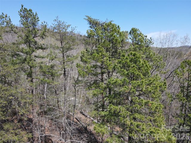 284 Oriole Drive, Lake Lure, NC 28746