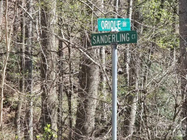 284 Oriole Drive, Lake Lure, NC 28746