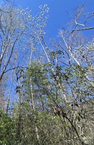 284 Oriole Drive, Lake Lure, NC 28746