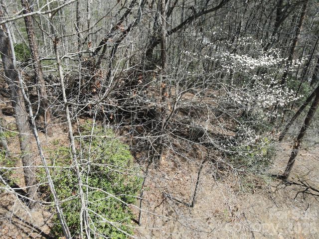 284 Oriole Drive, Lake Lure, NC 28746