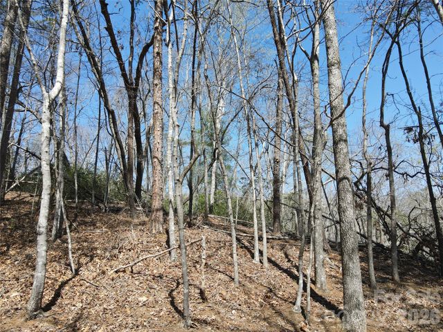 284 Oriole Drive, Lake Lure, NC 28746