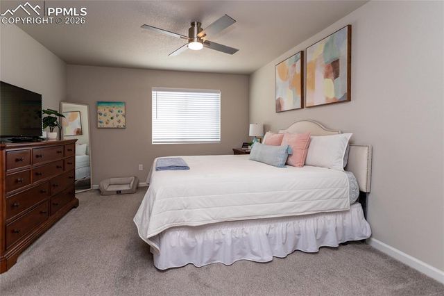 10188 Winter Gem Grove, Colorado Springs, CO 80925