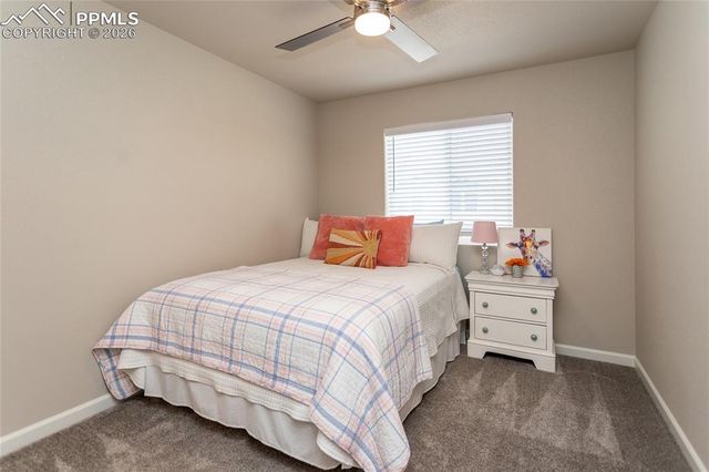 10188 Winter Gem Grove, Colorado Springs, CO 80925