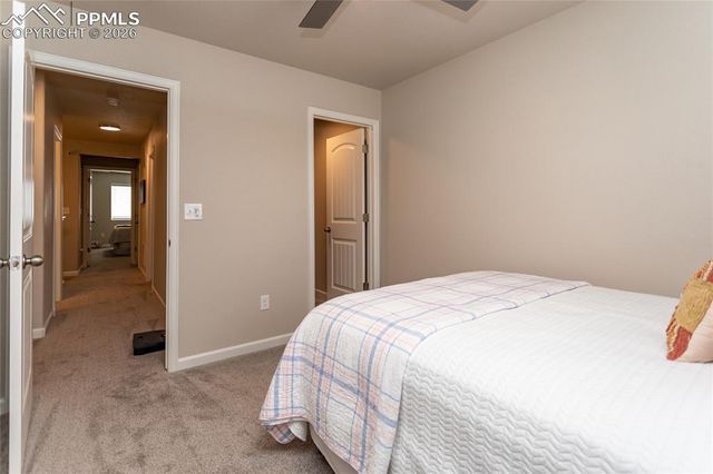 10188 Winter Gem Grove, Colorado Springs, CO 80925