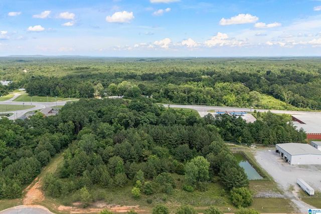 0 COMMERCIAL PARK CIRCLE, Calera, AL 35040