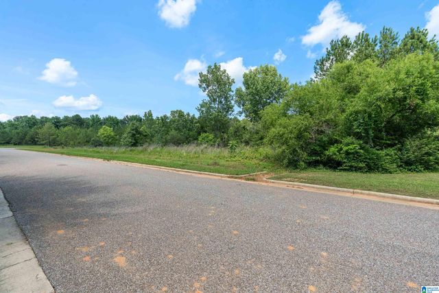 0 COMMERCIAL PARK CIRCLE, Calera, AL 35040
