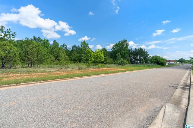 0 COMMERCIAL PARK CIRCLE, Calera, AL 35040